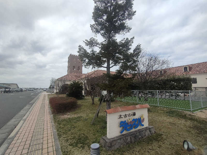 のぶさんのラピスパのサ活写真