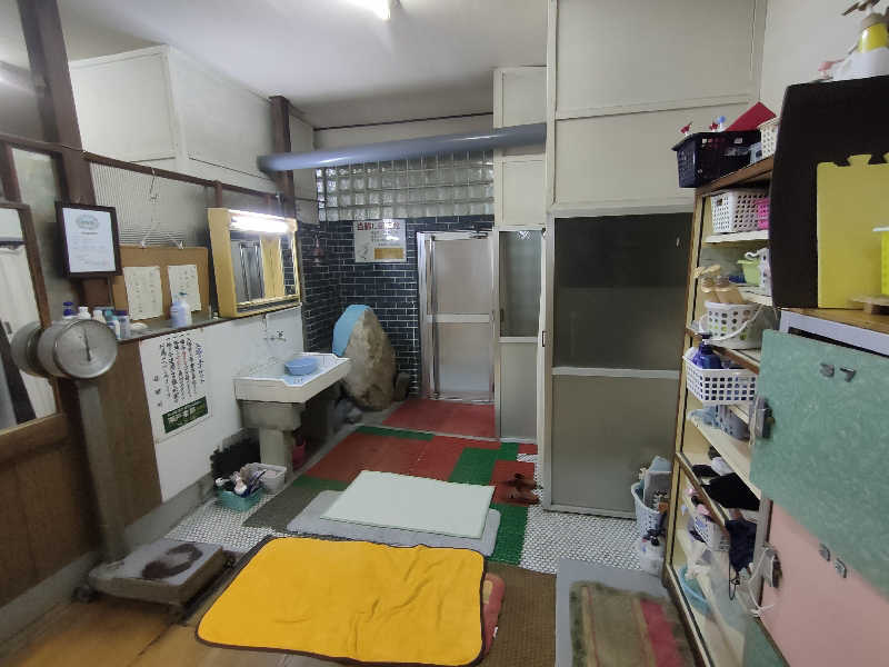 のぶさんのだいご湯のサ活写真