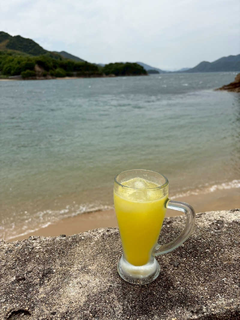 のぶさんの宿NAVELの学校(海岸沿いの貸切棟Hanare - sauna meri Kosagi-jima)のサ活写真