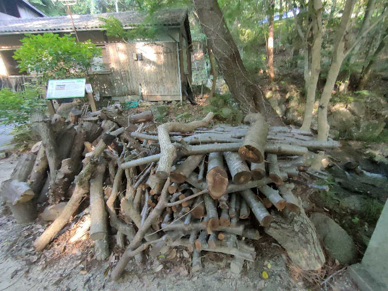 のぶさんの東大寺別院阿弥陀寺 石風呂のサ活写真
