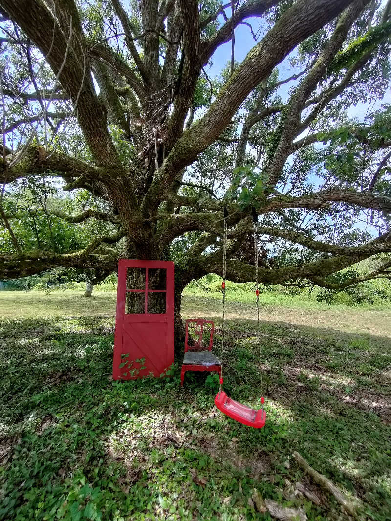 のぶさんの8.SAUNAのサ活写真