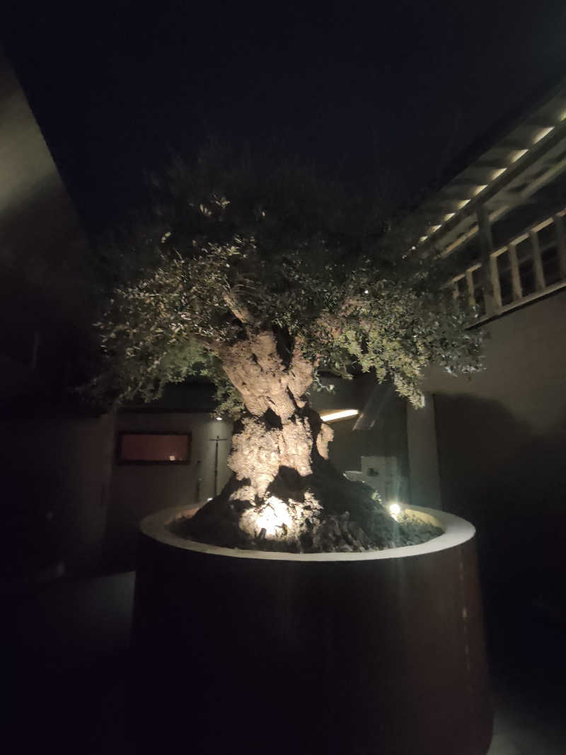 のぶさんのsauna kolme kylä (サウナ コルメ キュラ)のサ活写真