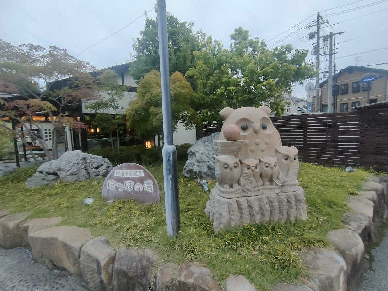 のぶさんの尾道平原温泉 ぽっぽの湯のサ活写真