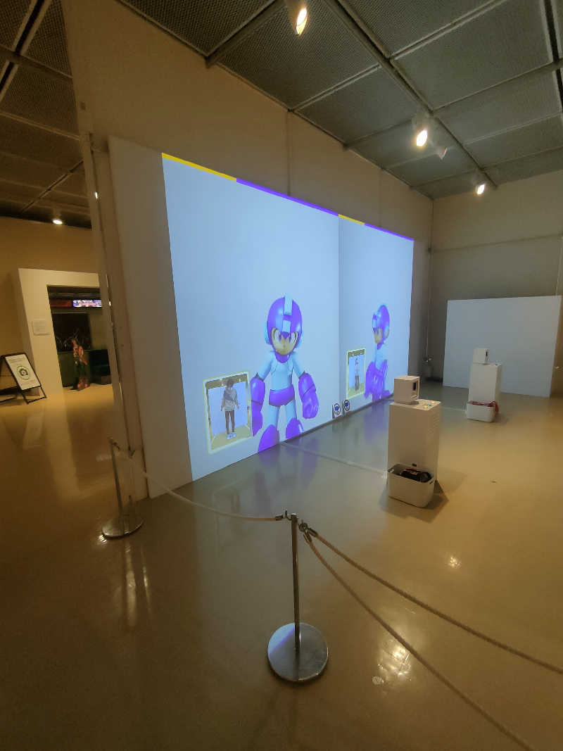 のぶさんのホテルレッシュ 鳥取駅前のサ活写真