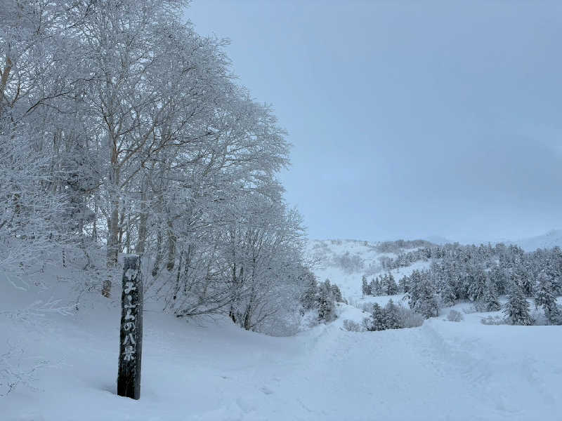 のぶさんの十勝岳温泉 凌雲閣のサ活写真