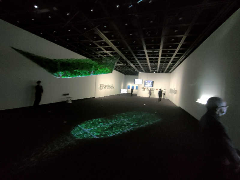 のぶさんのドシー恵比寿のサ活写真