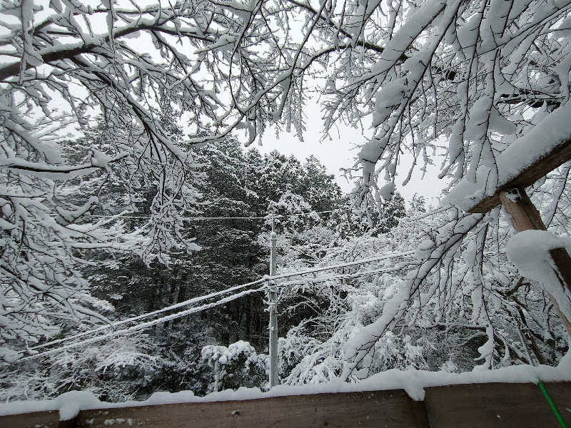 のぶさんのSauna kota LEPOのサ活写真