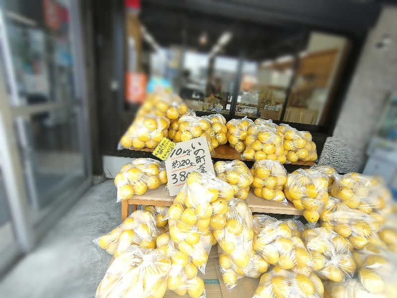 のぶさんの天然の湯 ながおか温泉のサ活写真