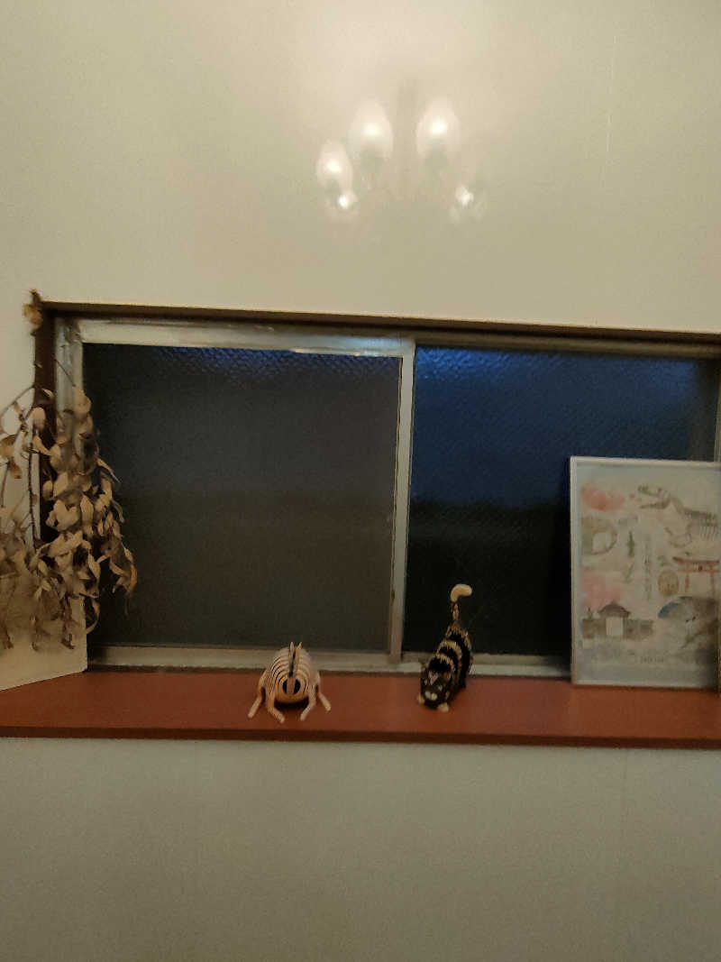 のぶさんの旅館 松岡サウナのサ活写真