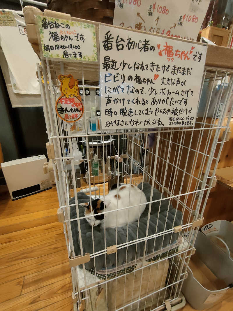 のぶさんの大津湯のサ活写真