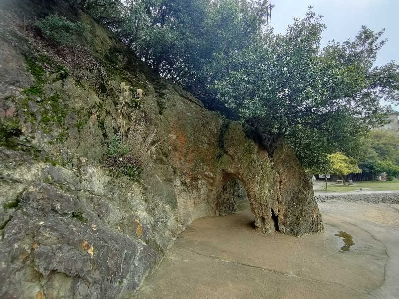のぶさんの江戸風呂のサ活写真