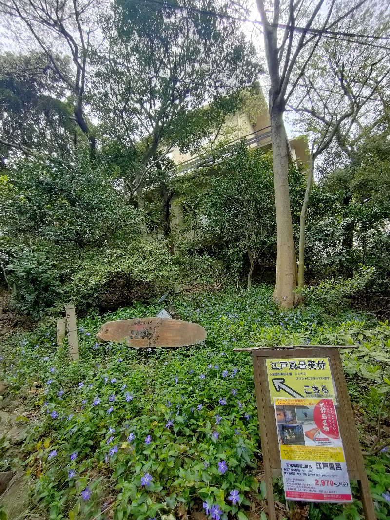 のぶさんの江戸風呂のサ活写真