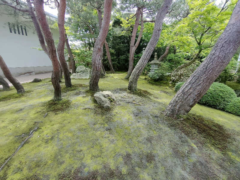 のぶさんの夢ランドしらさぎのサ活写真