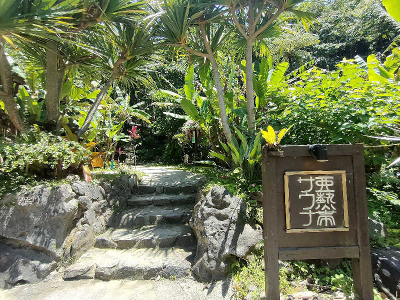 のぶさんの亜熱帯サウナのサ活写真