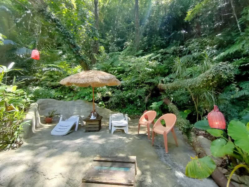 のぶさんの亜熱帯サウナのサ活写真