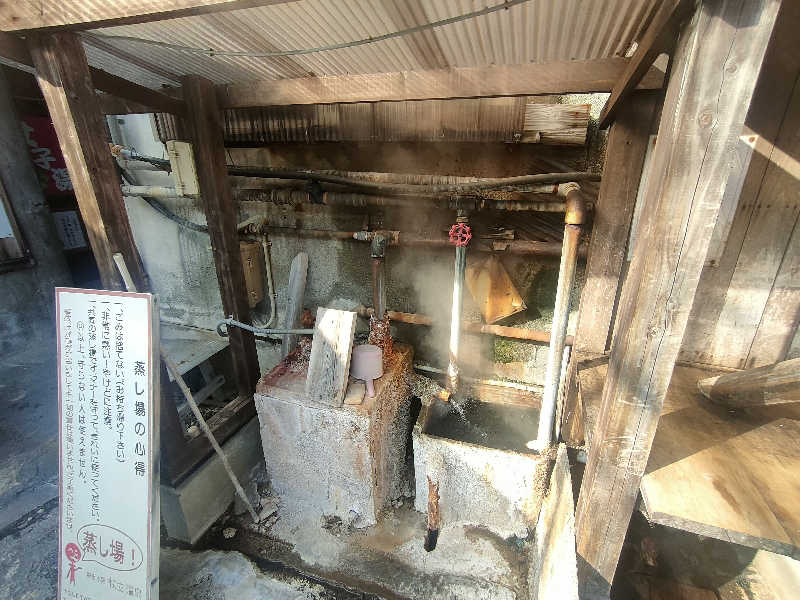 のぶさんの純和風旅館 泉屋のサ活写真