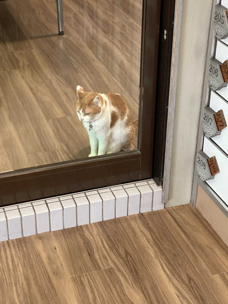 こ〜ぞ〜さんの三宝バスセンターのサ活写真