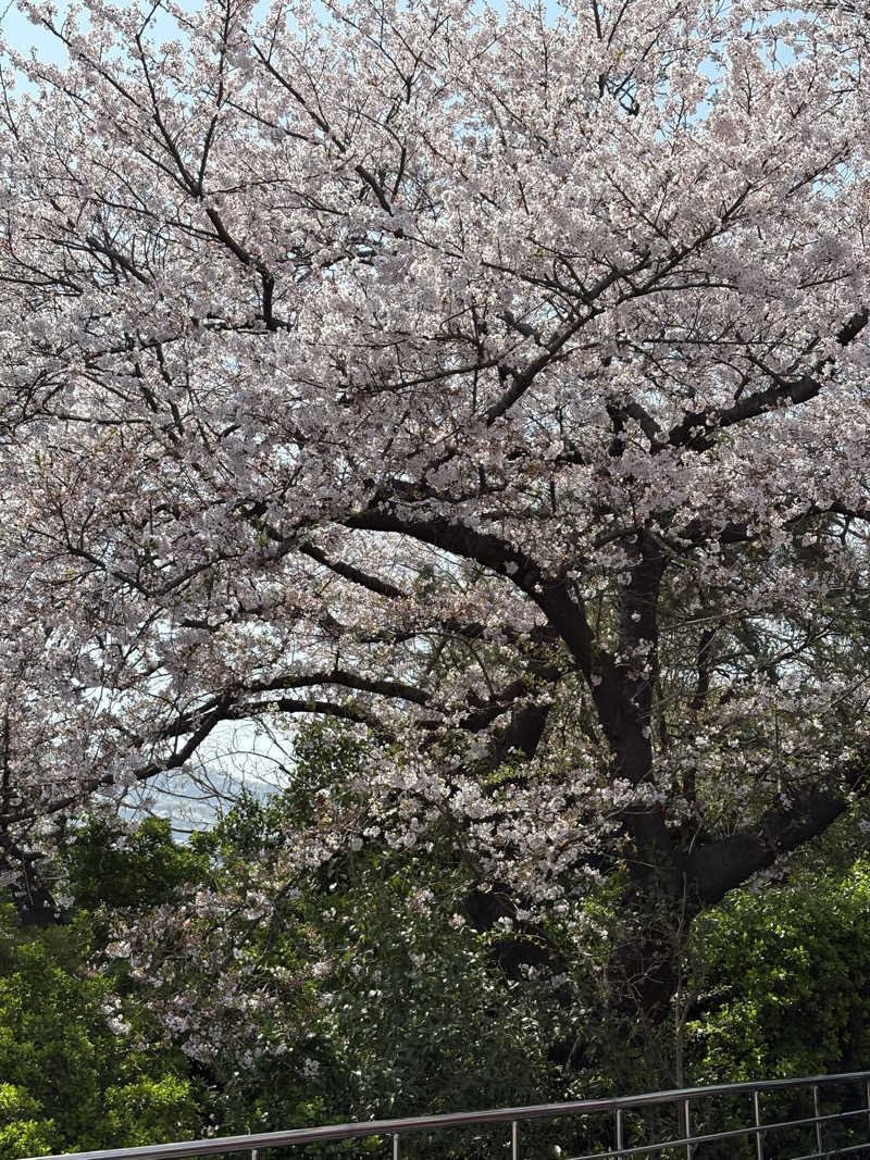 けんくんさんのソラリア西鉄ホテル・釜山のサ活写真