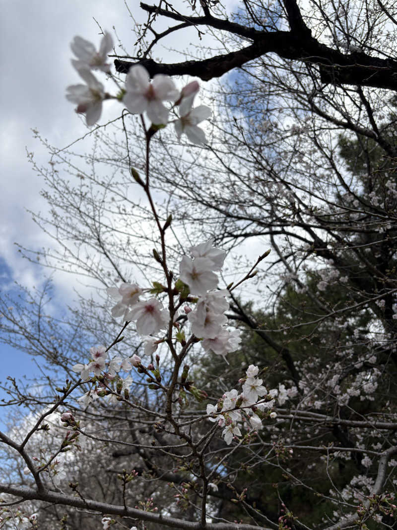 けんくんさんのサウナと天然温泉 湯らっくすのサ活写真
