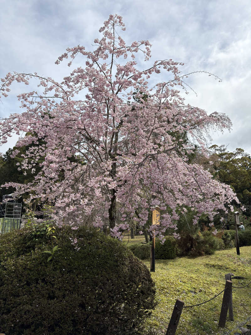 けんくんさんの鴨川湯のサ活写真