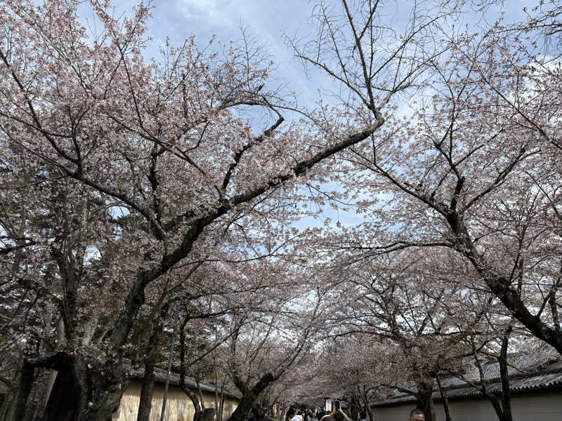 けんくんさんの鴨川湯のサ活写真