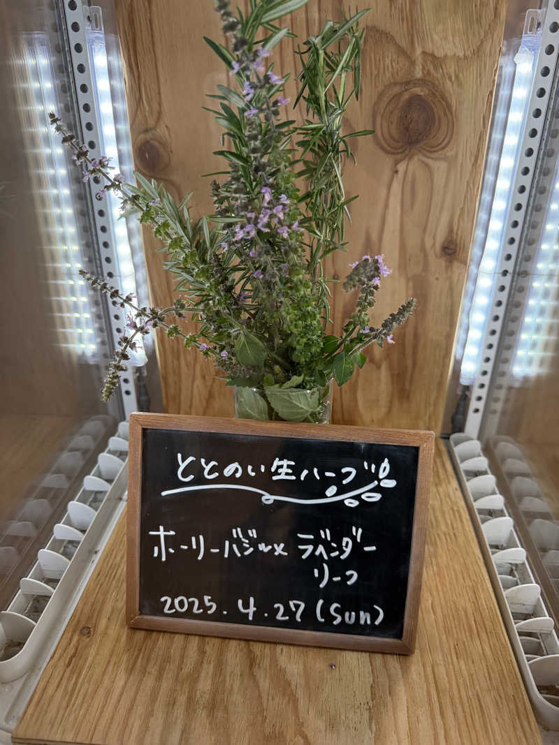 ゆうじさんの各務原 恵みの湯のサ活写真