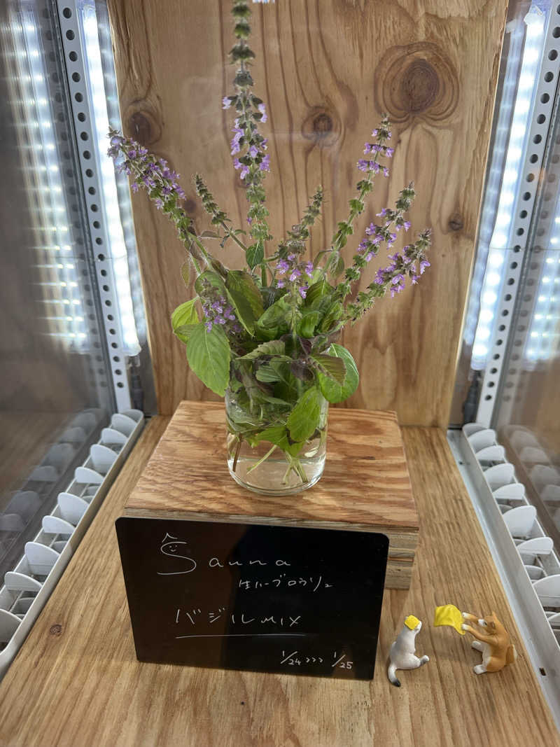 ゆうじさんの岐阜各務原 恵みの湯のサ活写真