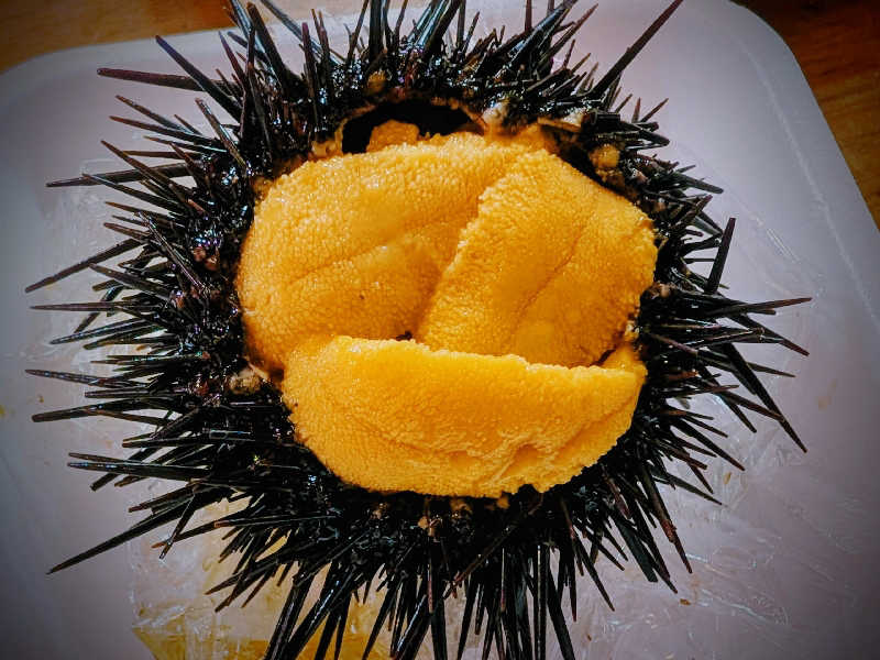 ウニのお作りも追加で