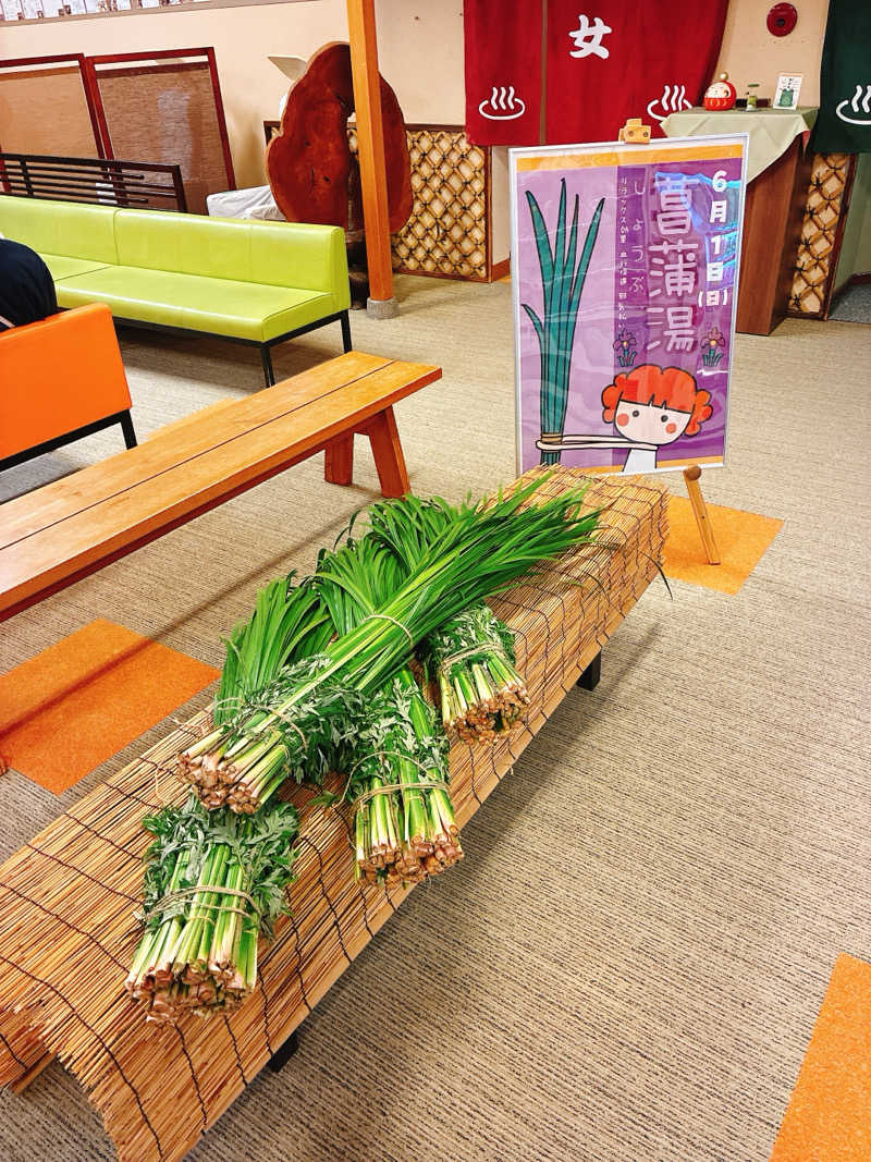 ゆーすけさんの金城温泉元湯のサ活写真