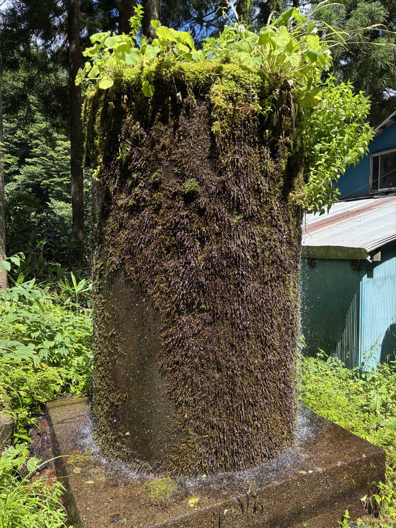 ゆーすけさんの越のゆ 鯖江店のサ活写真