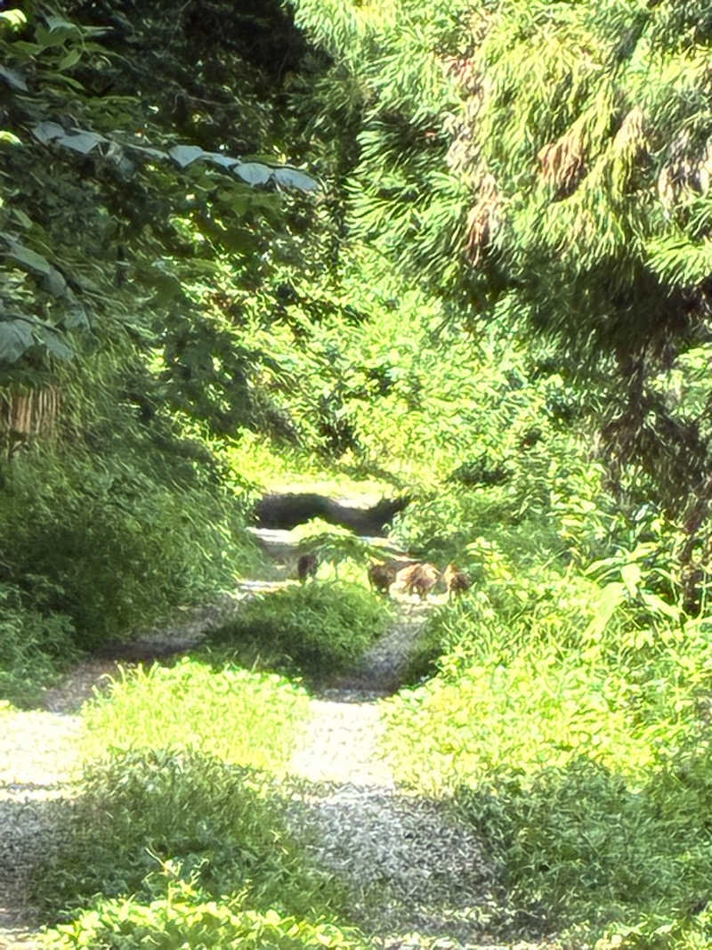 ゆーすけさんの福光温泉のサ活写真