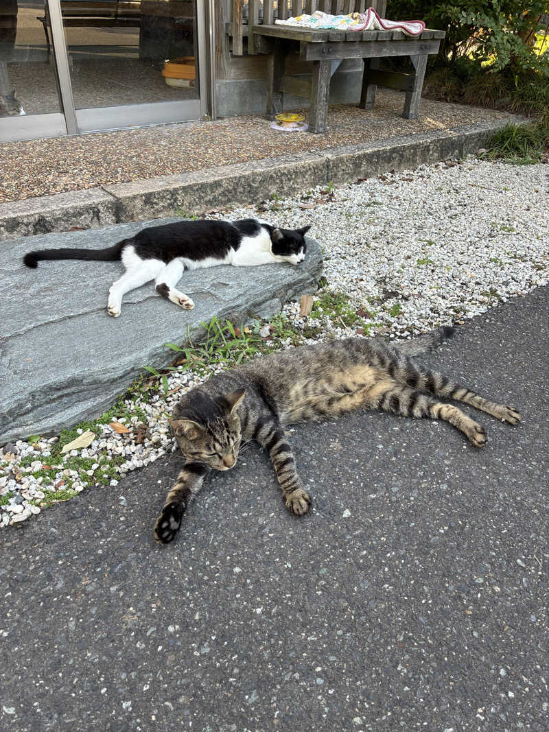 ゆーすけさんの金城温泉元湯のサ活写真