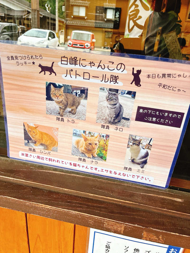 ゆーすけさんの白峰温泉 総湯のサ活写真