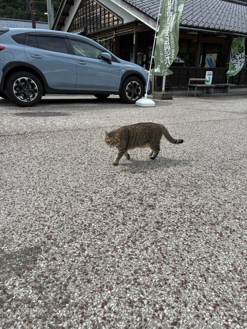 ゆーすけさんの白峰温泉 総湯のサ活写真
