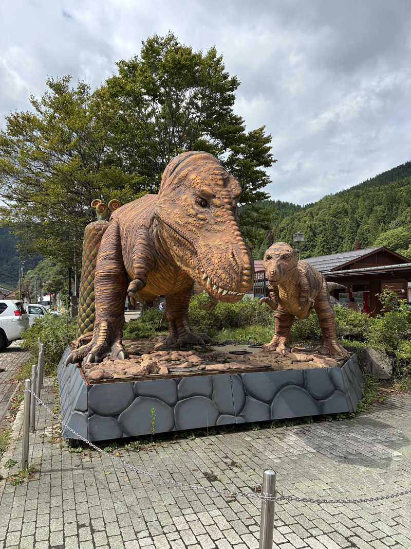 ゆーすけさんの天然温泉 満天の湯のサ活写真