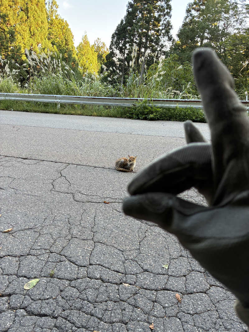 ゆーすけさんの天然温泉 満天の湯のサ活写真
