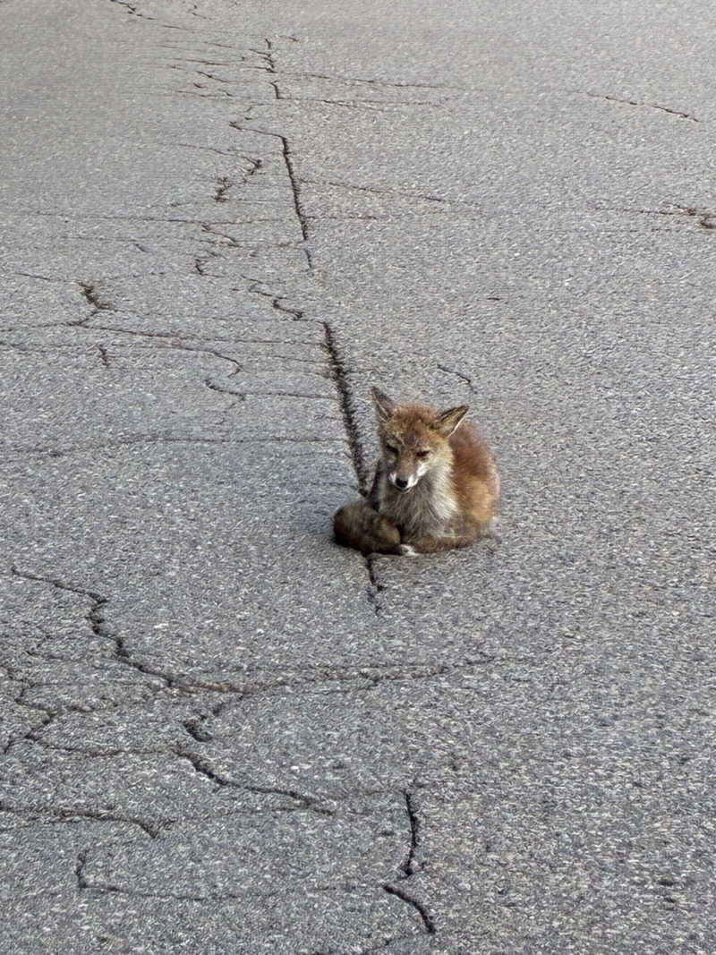 ゆーすけさんの天然温泉 満天の湯のサ活写真