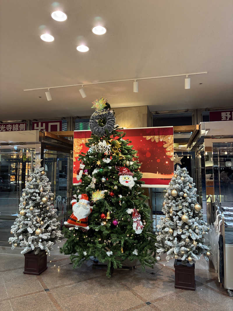 ゆーすけさんの天然温泉リラックスパーク テルメ金沢のサ活写真