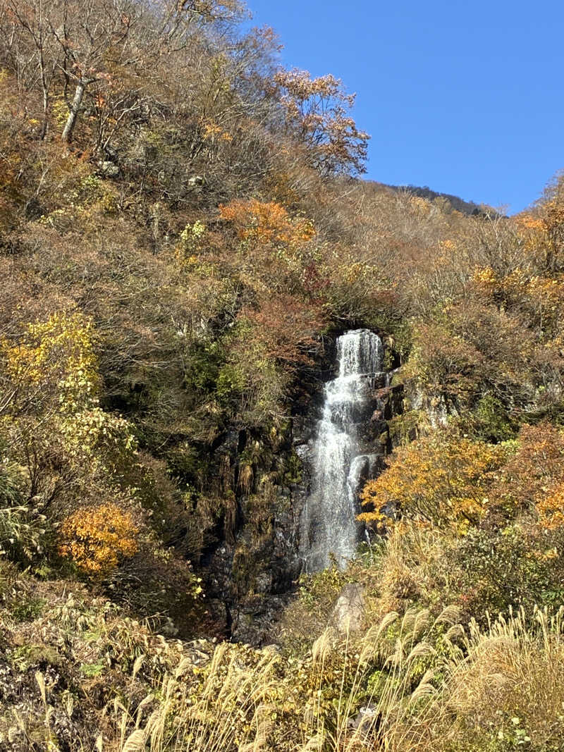 ゆーすけさんのゆけむり温泉 ゆ〜遊のサ活写真