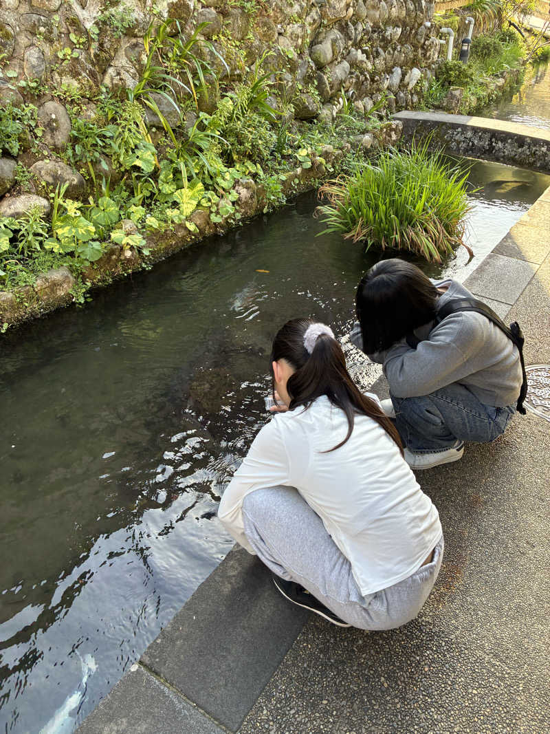 ゆーすけさんの金城温泉元湯のサ活写真