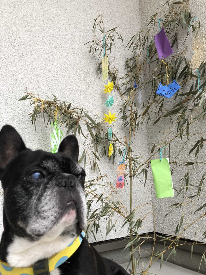 ゆーすけさんのヘルシーバス268のサ活写真