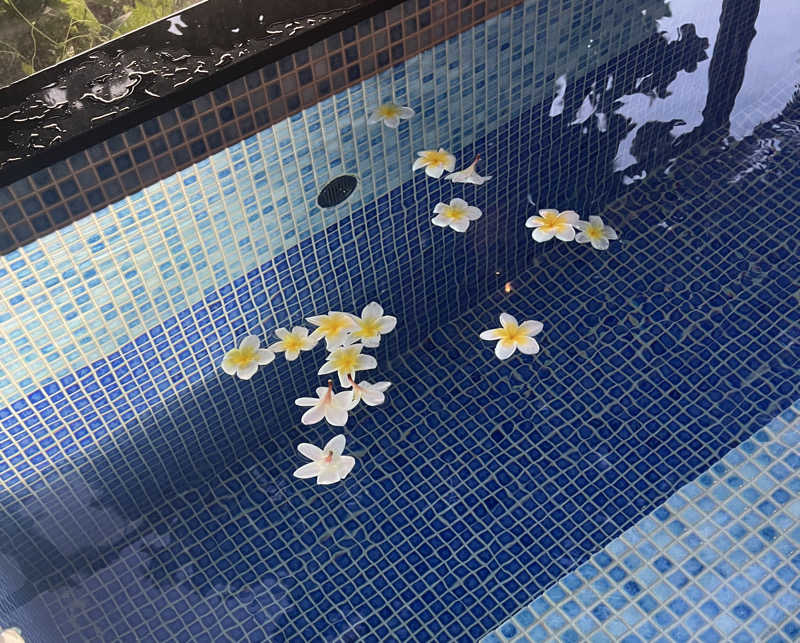 ひなさんのThida saunaのサ活写真