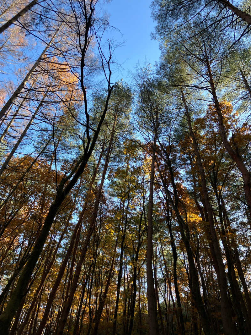 BEAさんのFOLKWOOD SAUNAのサ活写真