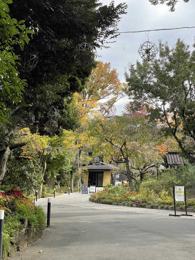 こみわたさんのよみうりランド眺望温泉 花景の湯のサ活写真