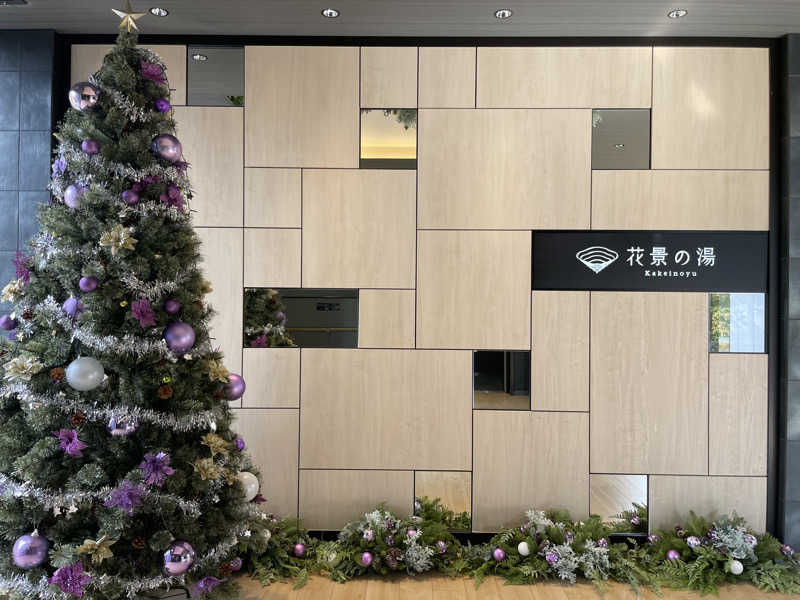 こみわたさんのよみうりランド眺望温泉 花景の湯のサ活写真