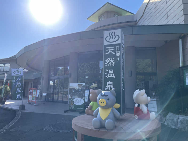 こみわたさんの天然温泉 花鳥風月のサ活写真