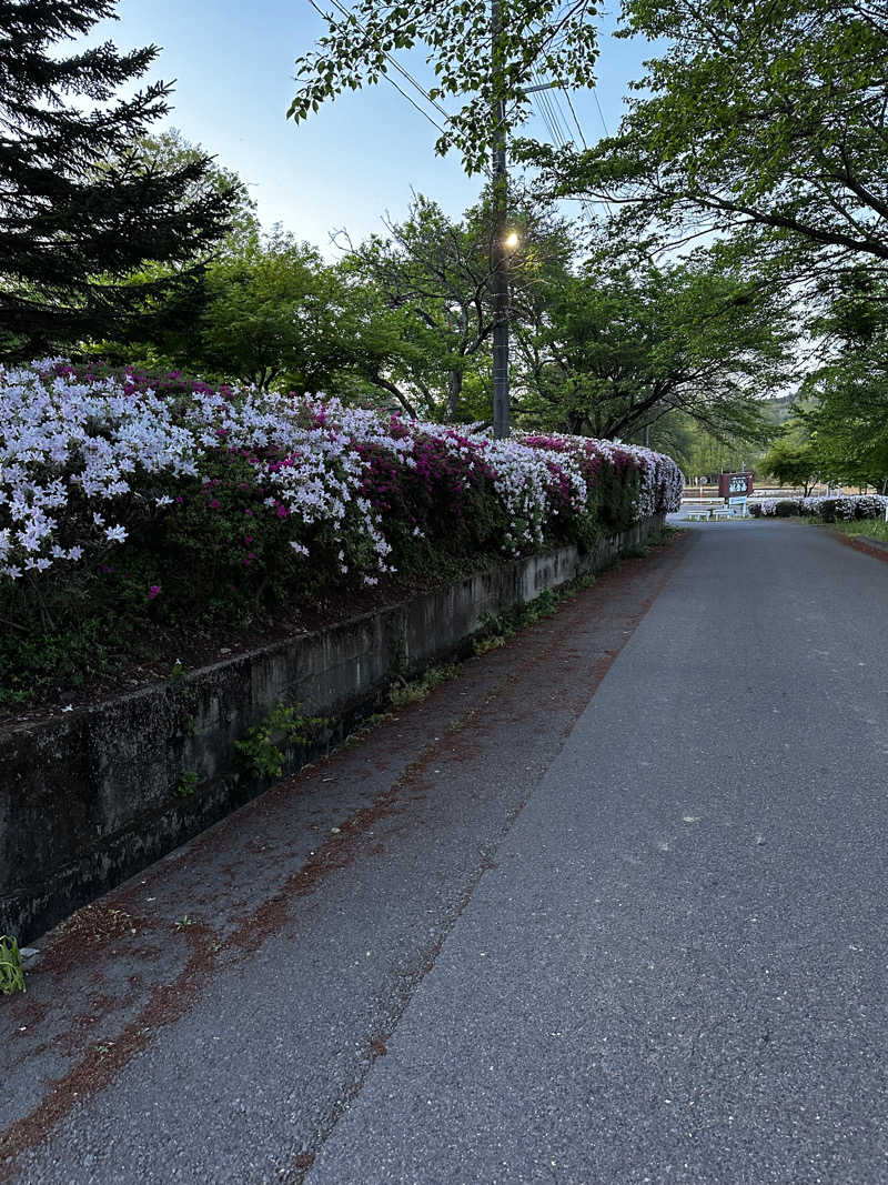 ぶうさんの割烹温泉 観音湯のサ活写真