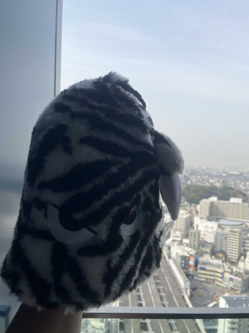 男爵のダンさんのカンデオホテルズ大阪枚方のサ活写真