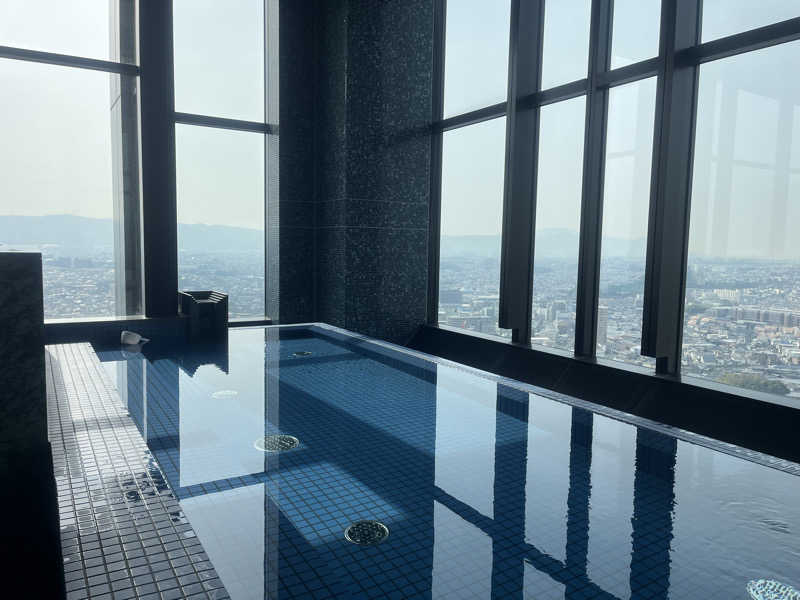 男爵のダンさんのカンデオホテルズ大阪枚方のサ活写真