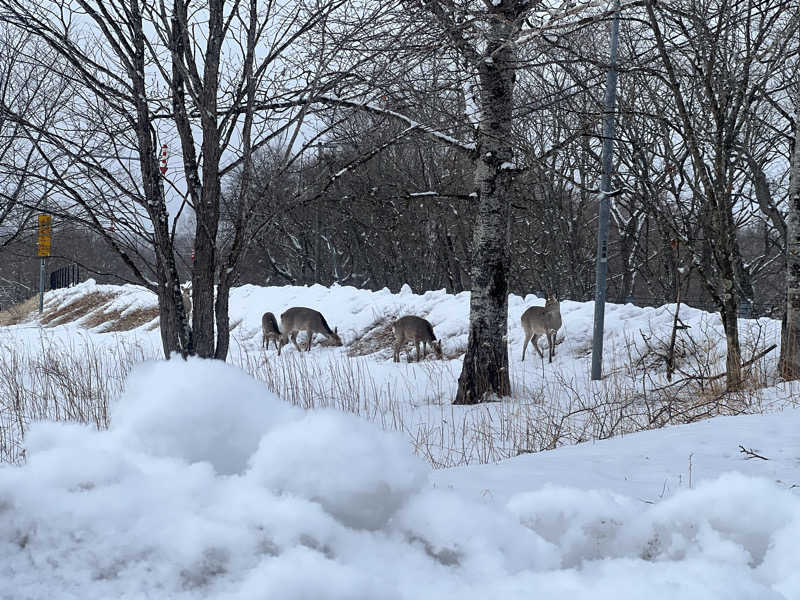 Yu-kaさんのぽん・ぽんゆのサ活写真